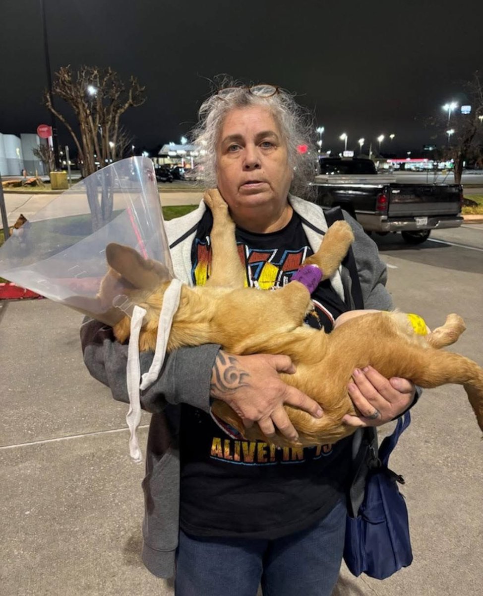 RoCoGB's tweet photo. 🚨FFS… only in Texas!!!!
Some POS dumped an injured 4 wk old puppy outside Wilma’s dog rescue!!!
The puppy was in shock so Wilma got the pup to ER Vet
After 5 hours X-rays, meds, the vet charged Wilma a staggering $1,200🥺
Can you help donate towards vet bill
https://t.co/Q9Q2kC9J7q
Puppy’s vitals are good, today Wilma got his leg set by her vet!