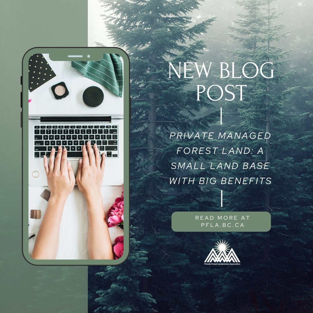 PFLABC's tweet photo. Catch the Private Forest Landowners Association's latest blog post - Private Managed Forest Land: A Small Land Base with Big Benefits. ⁠#sustainability
⁠
https://t.co/9JgNQPRfMT  https://t.co/Mxa0QWa3Hk