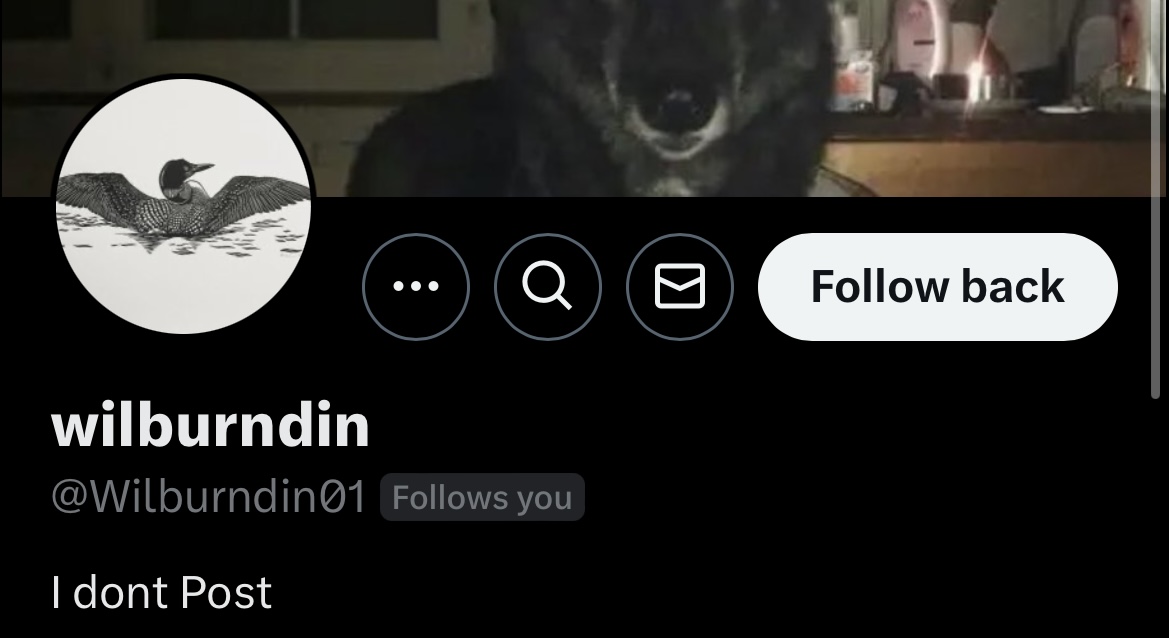 averyyyy 🥐 (@gyllenhaux) on Twitter photo 