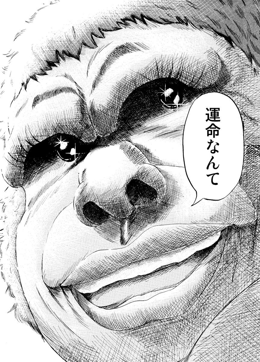 短編集「ダブルピース」、kindleインディーズで出してるので、無料ですが読んでもらえた分だけ作者にお金が入る仕組みです。よろしければぜひ。
https://t.co/Spigf6SEZD 