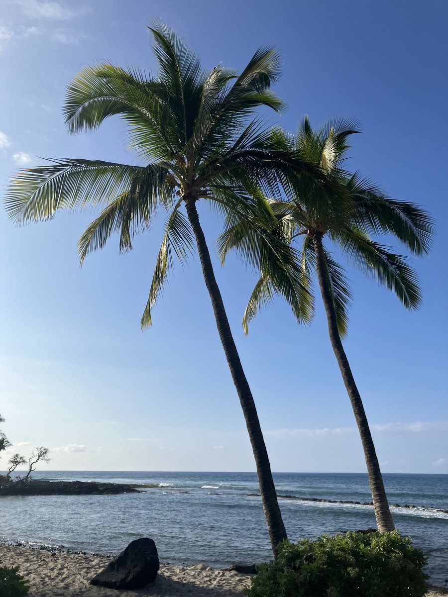 Lorraine Kelley-Quon, MD, MSHS, FACS, FAAP (@lkelley_quon) on Twitter photo Aloha! <a href="/BarqRuby/">Ruby Barq</a> presents findings at <a href="/PCSAsurg/">PCSA</a> from <a href="/HOPE_sci_lab/">HOPE Lab</a> showing #Fentanyl use is high and variable for kids receiving #ECMO despite known risks. Big need for multi-inst research collaboratives! <a href="/ChildrensLA/">Children's Hospital LA</a> <a href="/KECKSchool_USC/">Keck School of Medicine of USC</a> <a href="/APSASurgeons/">APSA Surgeons</a> Aloha! <a href="/BarqRuby/">Ruby Barq</a> presents findings at <a href="/PCSAsurg/">PCSA</a> from <a href="/HOPE_sci_lab/">HOPE Lab</a> showing #Fentanyl use is high and variable for kids receiving #ECMO despite known risks. Big need for multi-inst research collaboratives! <a href="/ChildrensLA/">Children's Hospital LA</a> <a href="/KECKSchool_USC/">Keck School of Medicine of USC</a> <a href="/APSASurgeons/">APSA Surgeons</a>
