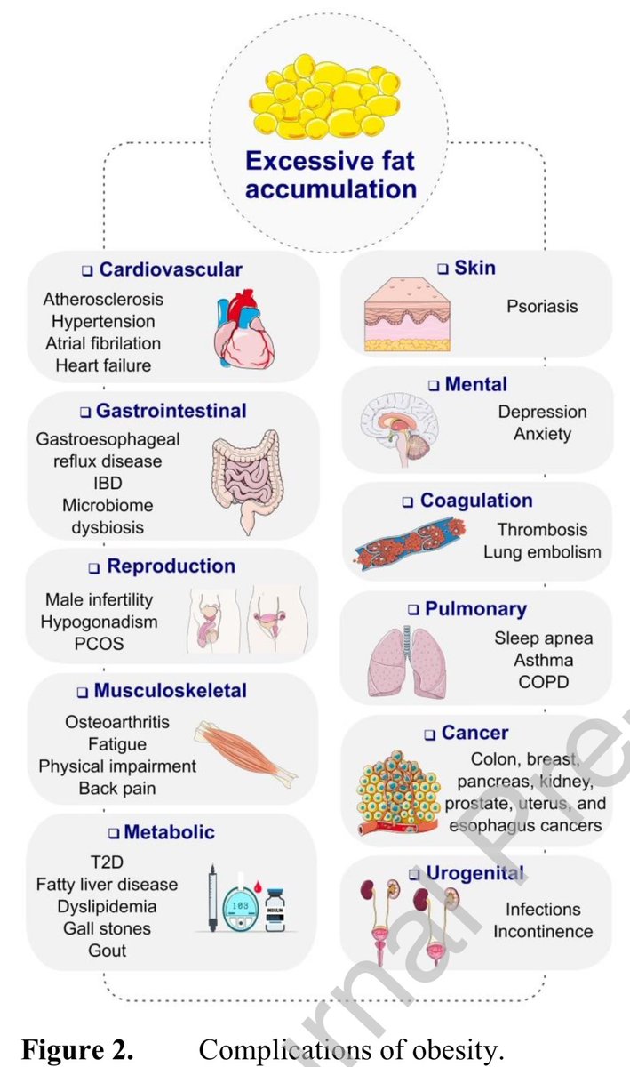 hardik4u24's tweet image. Obesity isn’t just extra weight ⚖️—it’s a multi-organ threat! ❤️ 🧠 🫘 🩸

From heart disease to kidney dysfunction, the risks are real

But GLP-1 RAs 💉offer hope by targeting appetite &amp;amp; metabolism

📖doi.org/10.1016/j.amjm… (2025)

#Nephrology #Obesity #GLP1 #MedTwitter #NephX