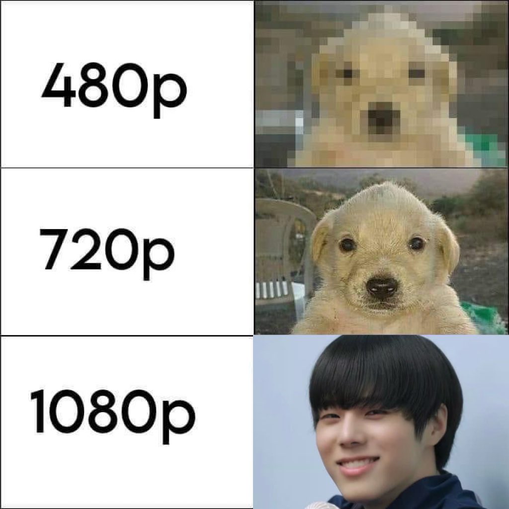 똥똥개