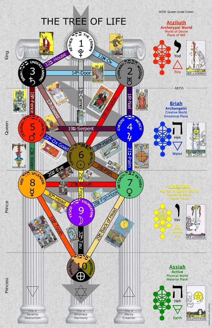mrogtarot808's tweet photo. #tree_of_life https://t.co/fWY67LtyN7