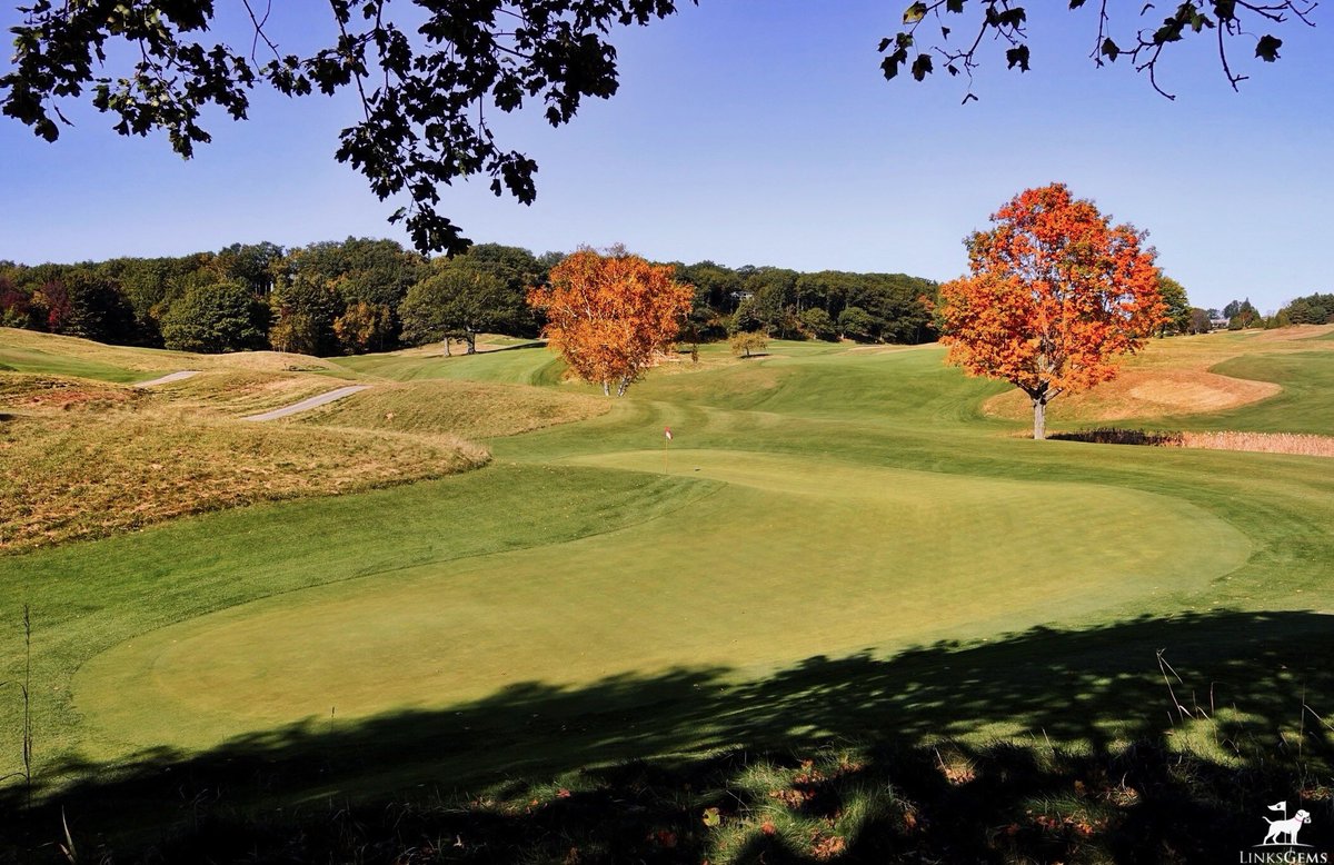 LinksGems tweet media