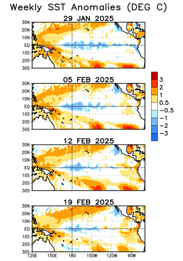 climatologa's tweet photo. Se observa en las ultimas semanas (febrero) incremento de la Temperatura Superficial del mar #TSM en región #Niño 1+2 y se fortalecieron anomalías positivas.
Mientrras; Pacífico central (Región Niño 3.4) persistieron ATSM negativas.
Continuaremos #monitoreando Pac. #Oriental!! https://t.co/MC3SdUkbnm