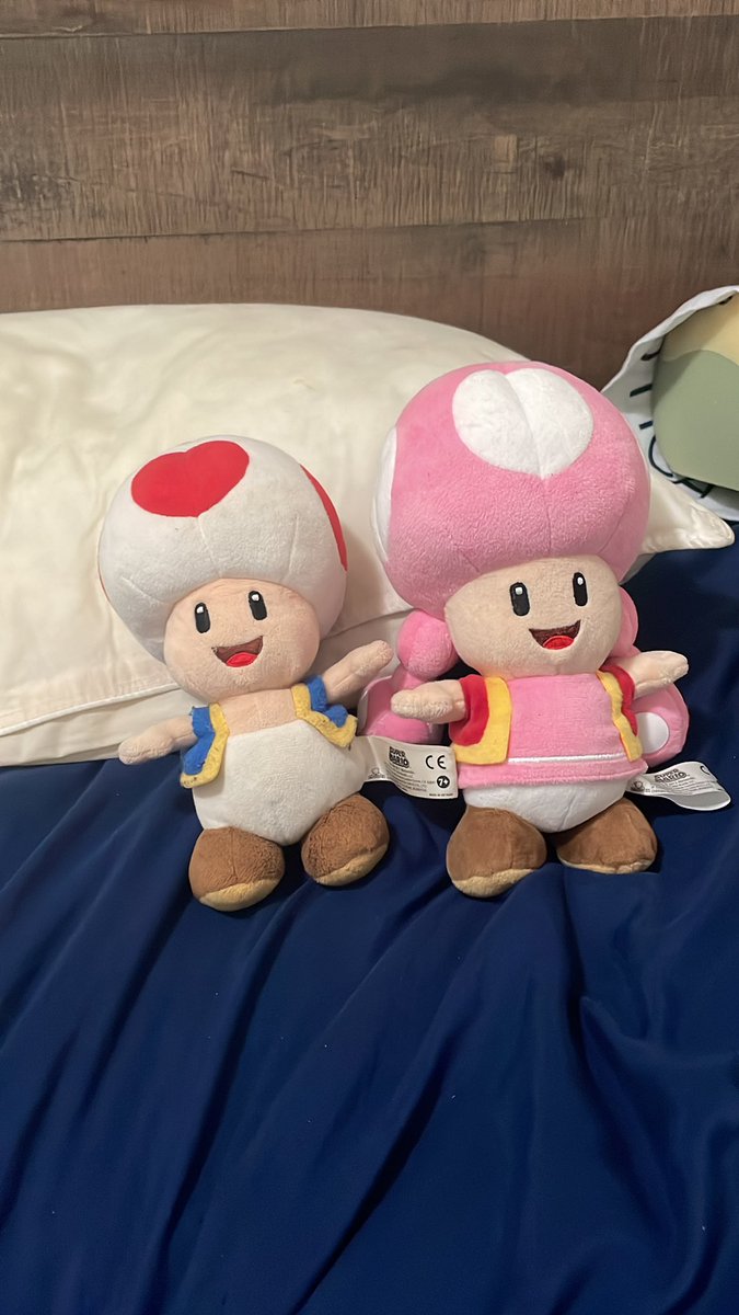 CyroBredkid's tweet image. You bet &amp;amp; him along with Toadette are kissable too! 😏