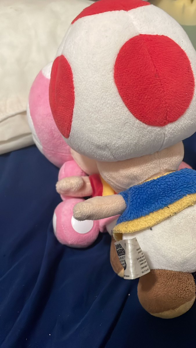 CyroBredkid's tweet image. You bet &amp;amp; him along with Toadette are kissable too! 😏