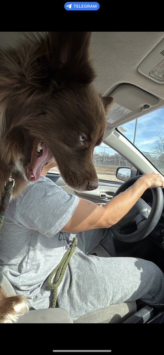 <a href="/3orovik/">borovik</a> This wouldn’t be your reaction if you just decided to invest in $KOVU.

Community that thrives in the toughest of markets and stays positive - just wait and see what happens when the market is in our favour 🚀

Acud16jqA9j1Hc83JrHYeiN2BpK8LYYQ1h6FGnYrpump
