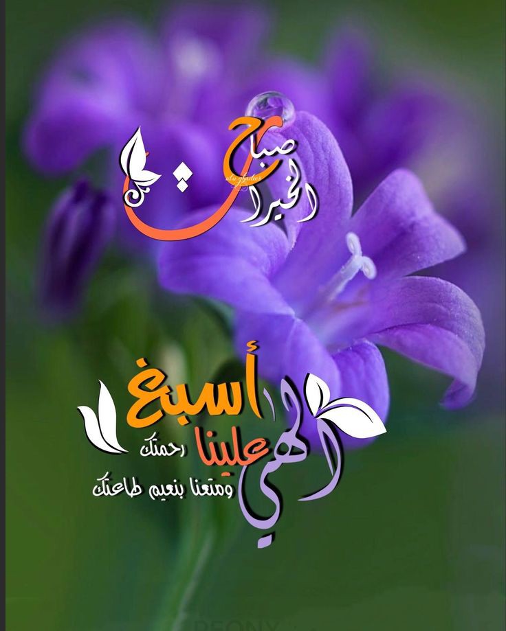 صباح مشرق بنور الله والاقبال على الله 
صباح مملوءاً بالعطاء والتوجه إلى رب السماء بأن يحفظ علينا النعم ويدفع عنا النقم
اللہم مع أنفاس هذا الصباح ارزُقنا حُلو الحياة وخير العطاء .

صــَبــ🌞ـَاح آلخہـيہـ🌞ـر.. 

💜🫶💜🫶💜