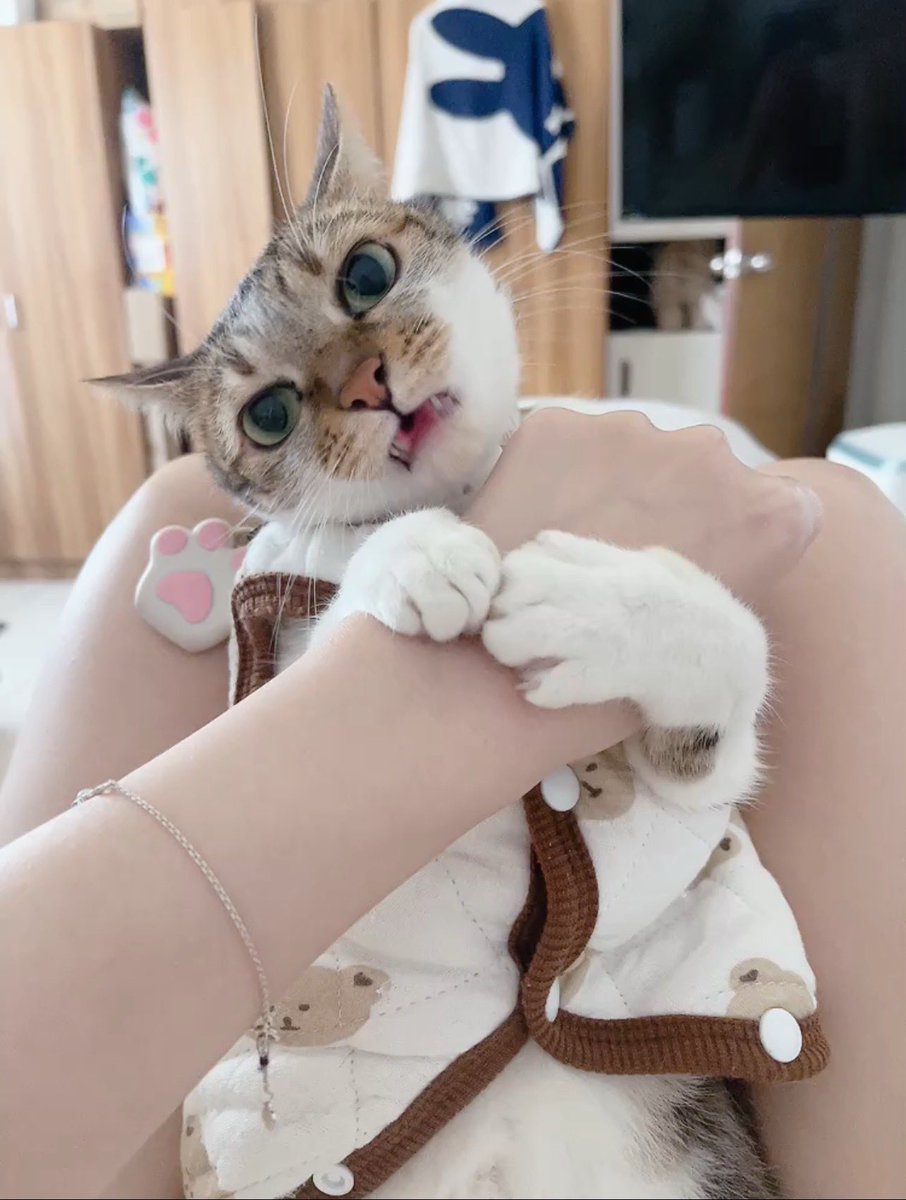 一睡起來就裝可愛