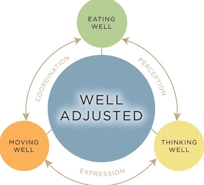 Pontious Chiropractic (@pontious) on Twitter photo 