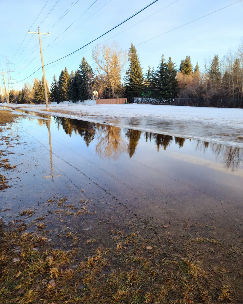 Lisa (Homer) Baril tweet media