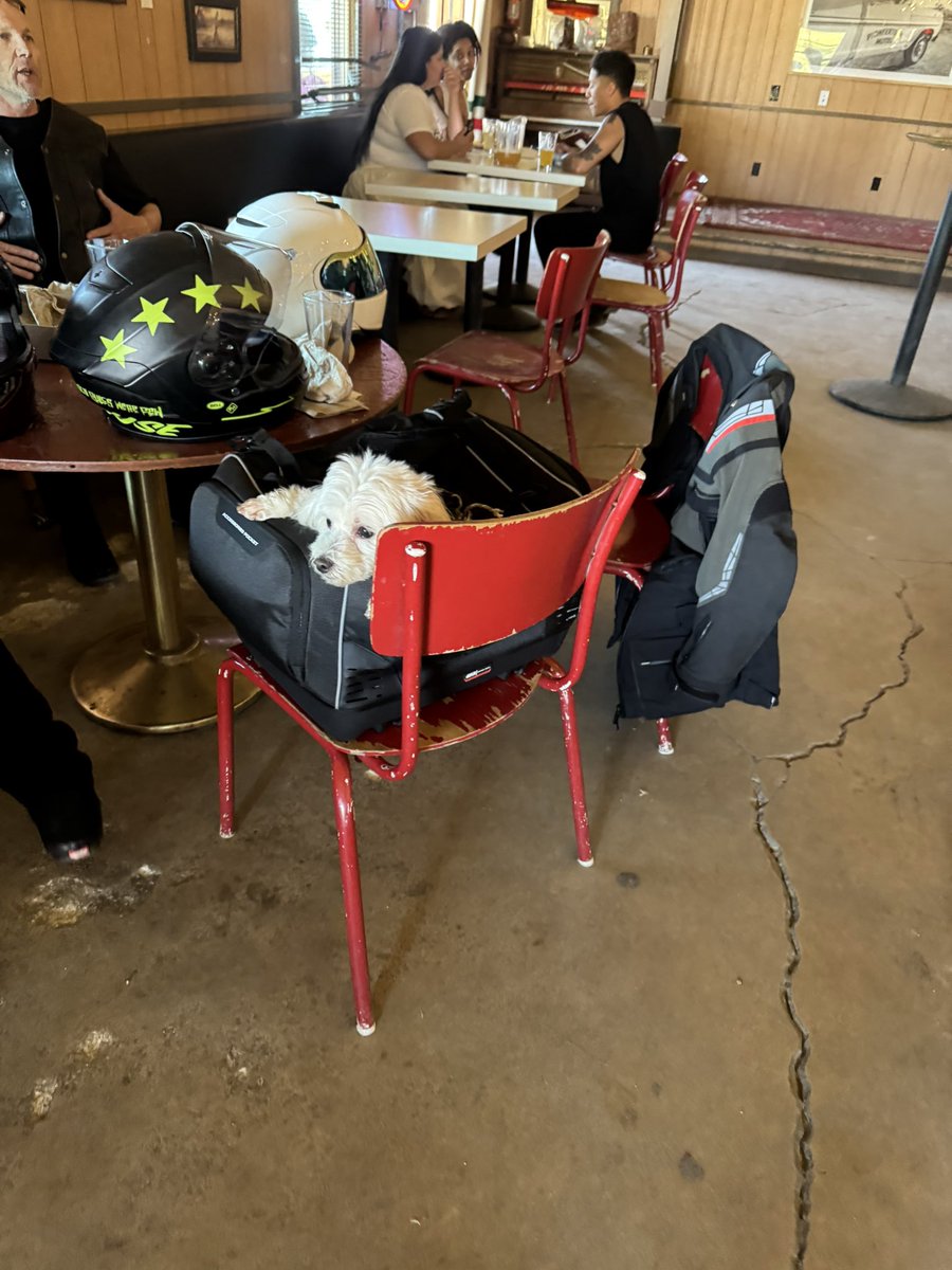 SPRINTS BACK tweet media