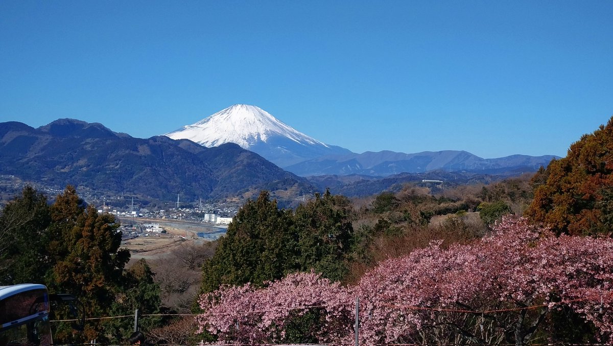 紫檀二段松竹梅花台22号 紫檀二段松竹梅花台22号