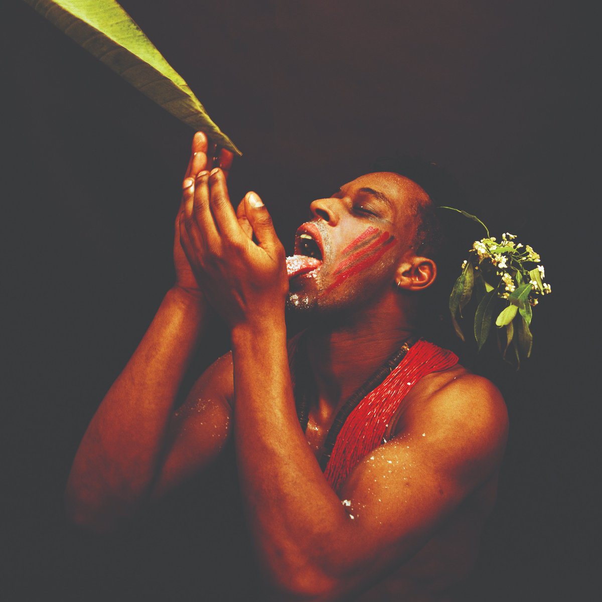 The Polygon Gallery tweet media