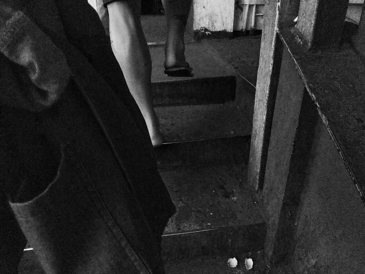 Picture lang ✊🏼🇵🇸 tweet media