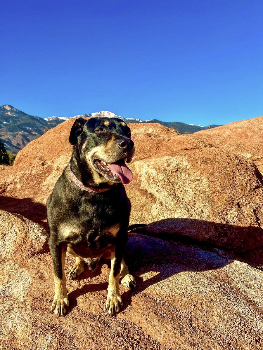 Big news🎉🥳 from Red Rock Veterinary Health!!

We’re opening our doors 🏥 on March 10th!! 😻🐈🐶🐕