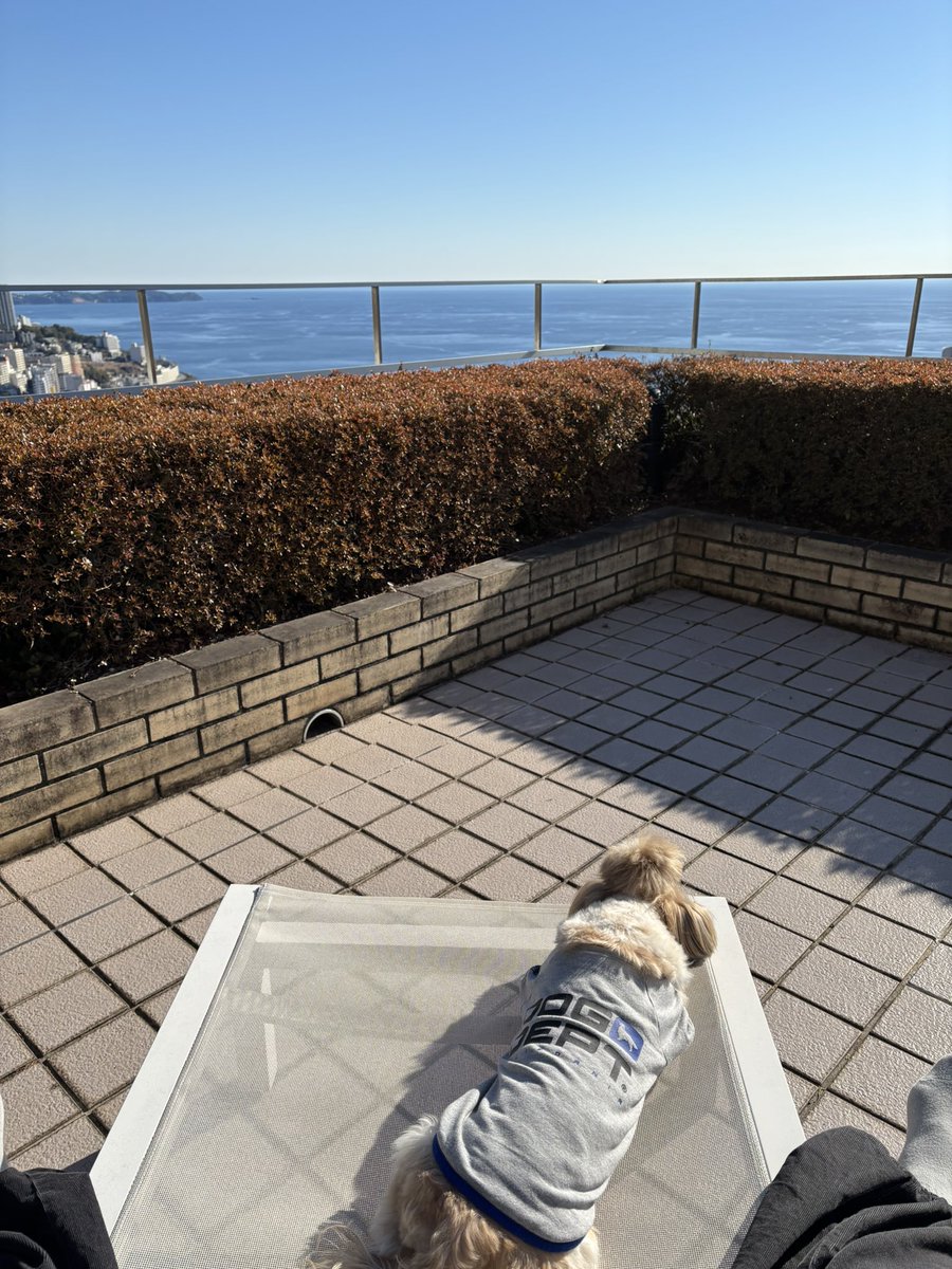 いいお天気で気持ちイイ