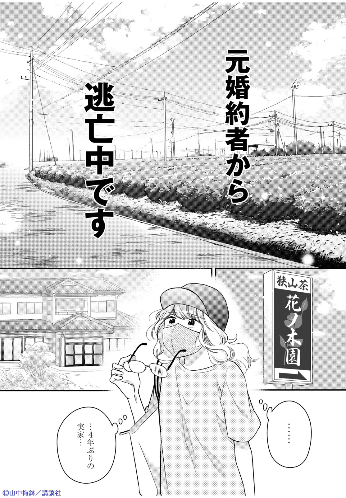 この恋、茶番につき!? 分冊版 12巻 |山中梅鉢 | まずは無料試し