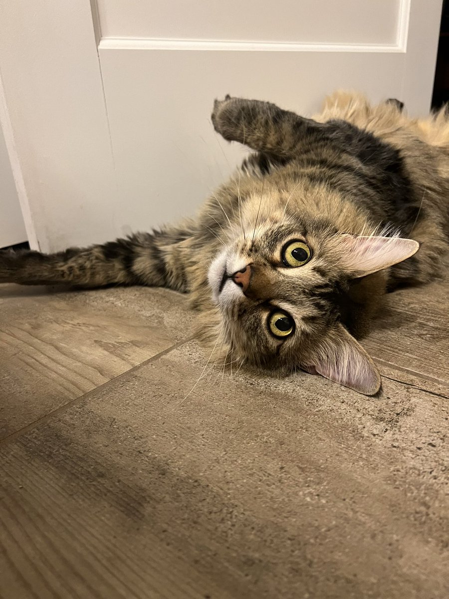 berdzerd's tweet image. just radiating swag ….. he is so bad ass❤️