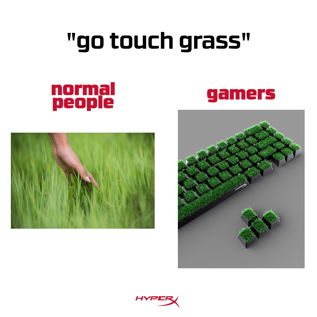 They said go touch grass... so we did. 🌱🎮 Nothing stops my gaming grind! 😤