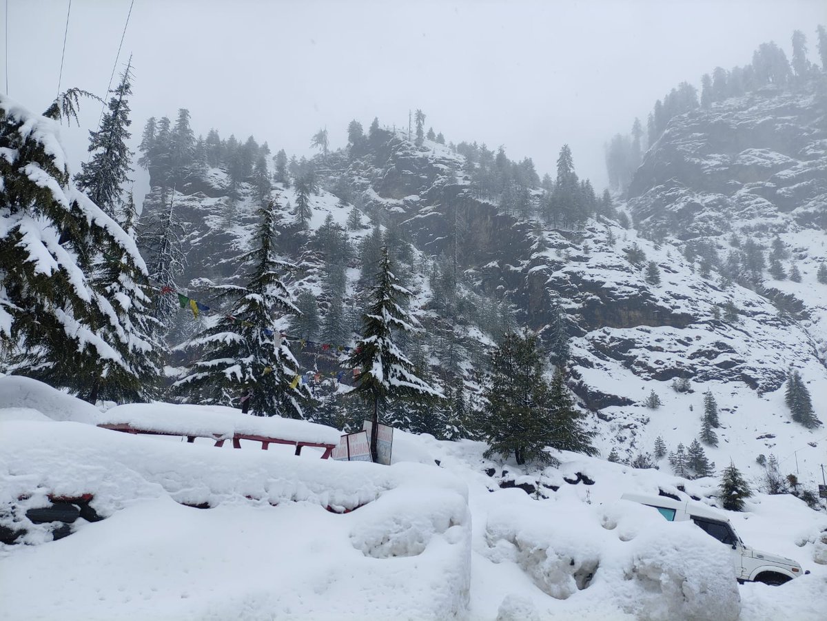 Balay_BNath's tweet photo. Good morning 🥶

#frozenmagic #snow #manali https://t.co/vhIXYlRLdN