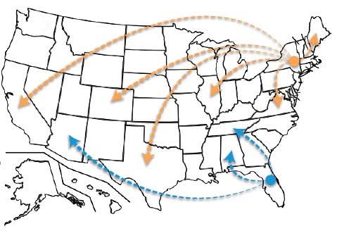 Last week we showed you the 10,659 hats we collected this year. We tallied up the miles they travelled. They were shipped to 48 states covering 121,252 miles! Thank you everyone for a wonderful Hatsgiving season.