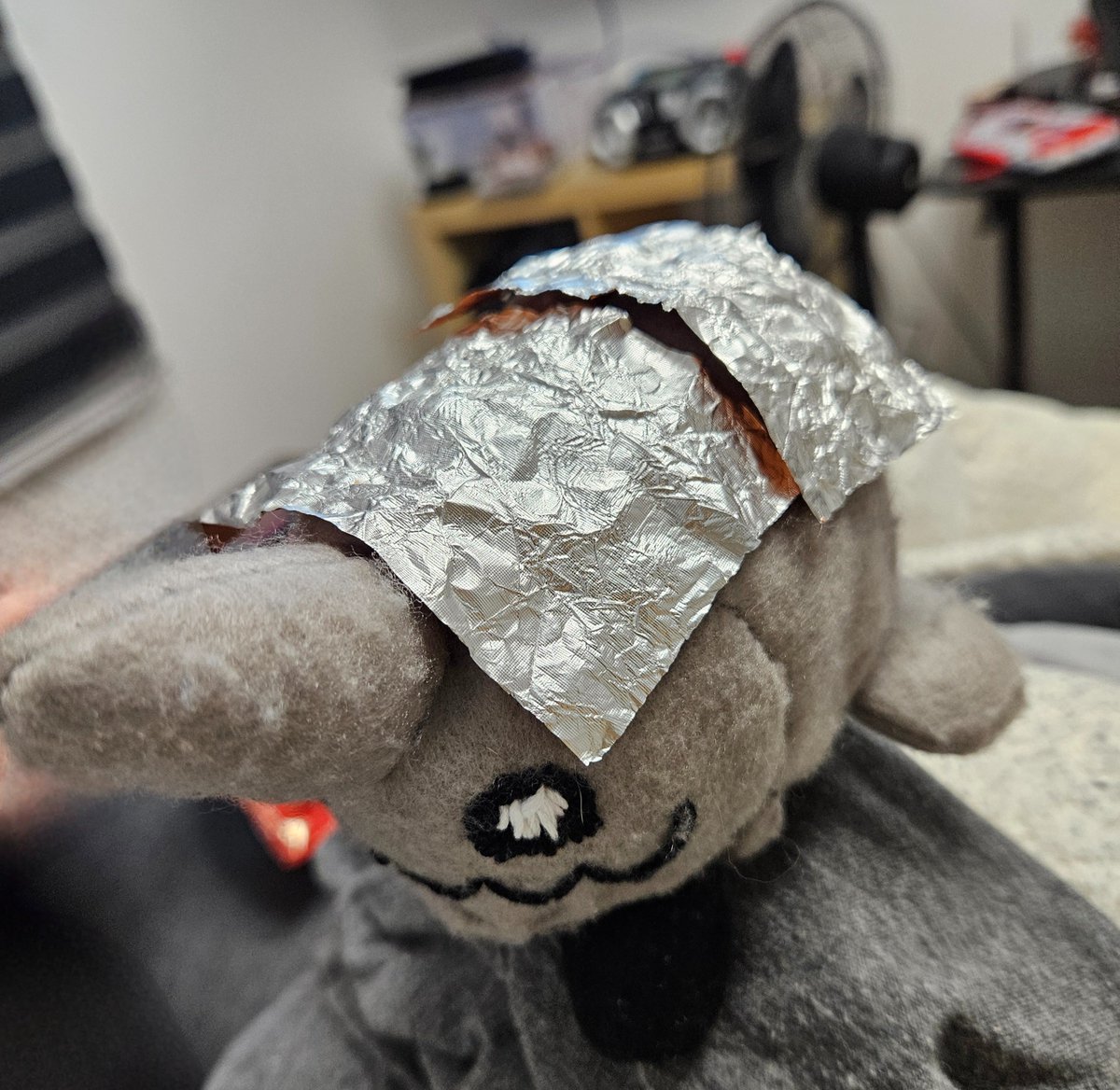 Alphonse in Aluminium blanket 

Al in Al if you will