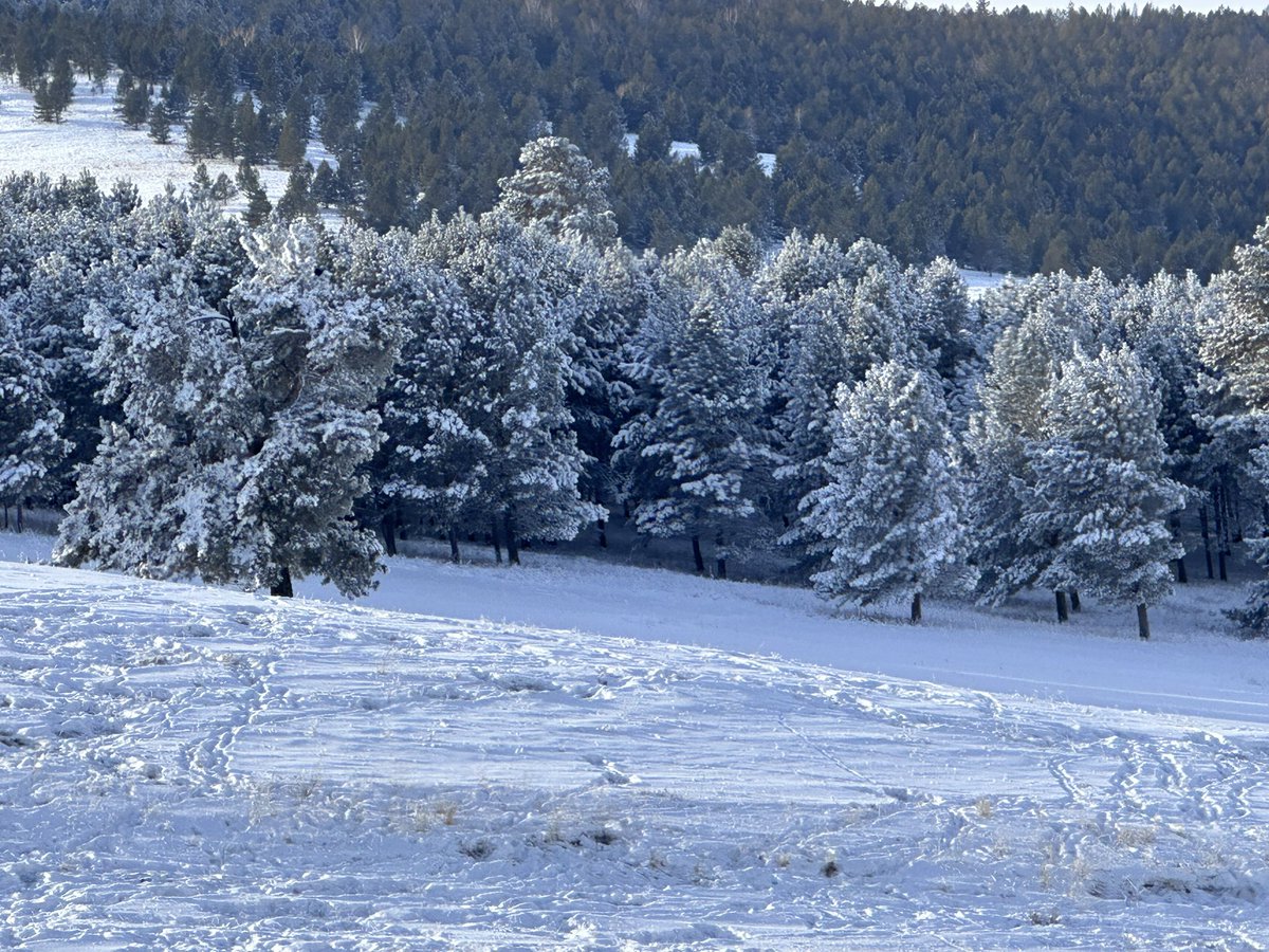 Өглөөний сайхныг өдөр бүх мэдэр.