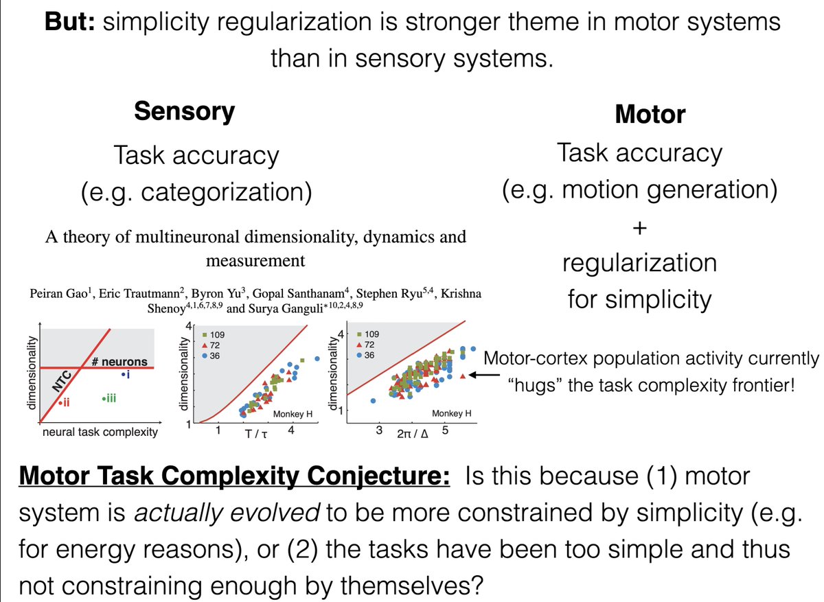 Aran Nayebi (@aran_nayebi) on Twitter photo In this lecture, we discuss task-optimized models of the motor system, surveying the classic work of Evarts, Georgopolous, <a href="/MarkChurchland/">Mark Churchland</a>, <a href="/shenoystanford/">Krishna Shenoy</a>, and many others, showing how they build up to trained RNNs as a canonical paradigm of the motor system (e.g. the work of In this lecture, we discuss task-optimized models of the motor system, surveying the classic work of Evarts, Georgopolous, <a href="/MarkChurchland/">Mark Churchland</a>, <a href="/shenoystanford/">Krishna Shenoy</a>, and many others, showing how they build up to trained RNNs as a canonical paradigm of the motor system (e.g. the work of