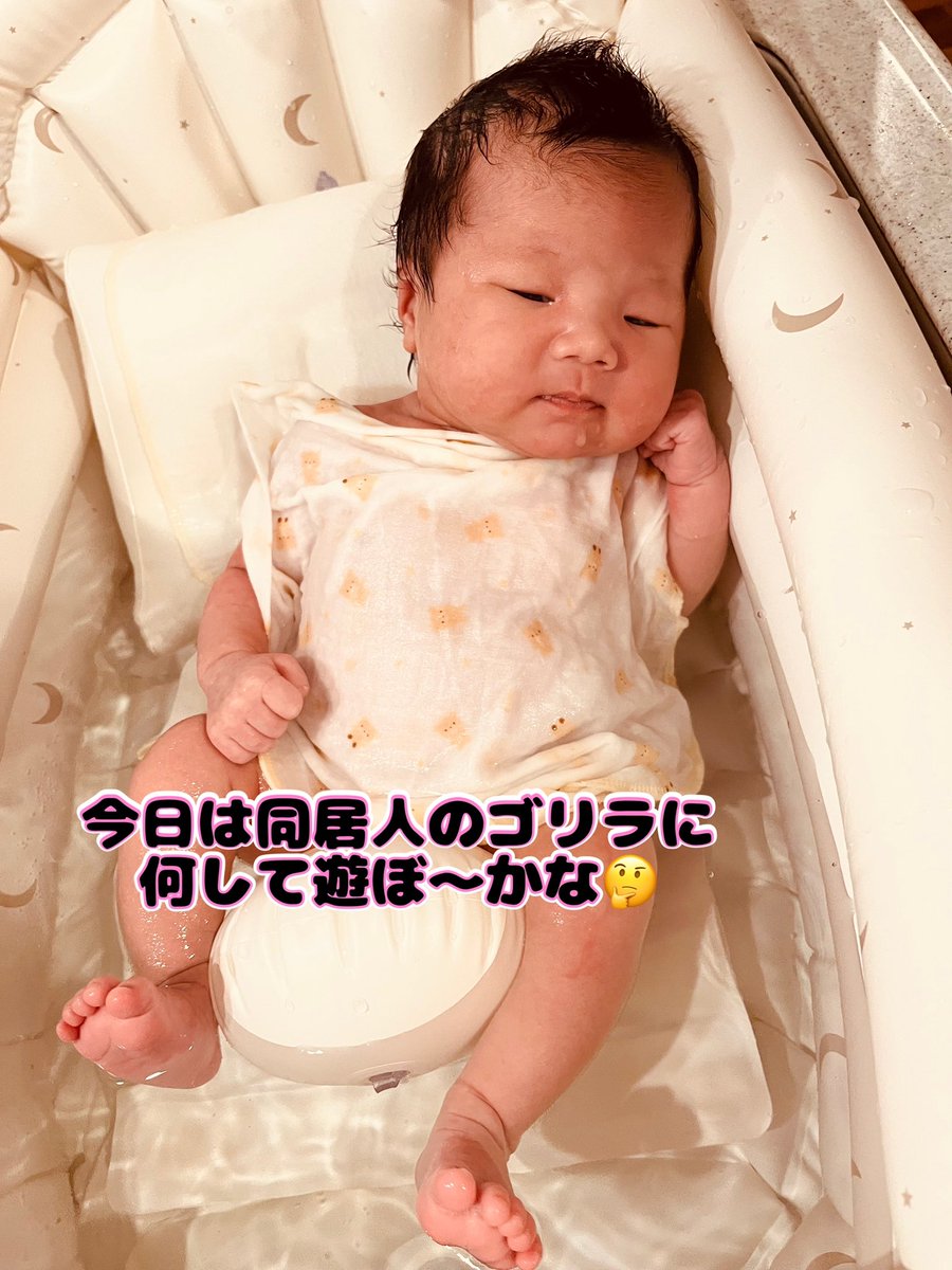 今日のドル円はプルバックスタート

戻り売り入るのか
長期足レンジの反発で中期足
上昇トレンドなるのか

本日のガッツ。

悪巧み顔🐥
