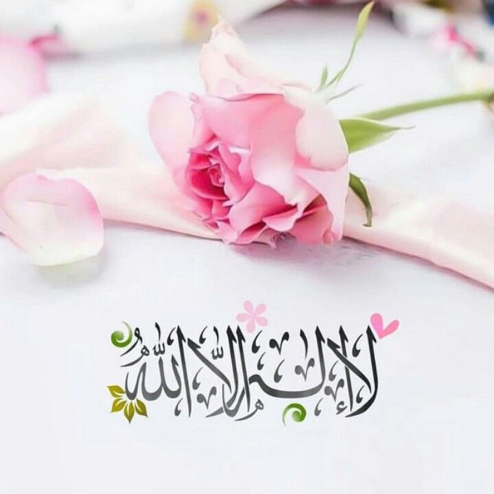 ‏صـــــد𝓈𝒶𝒹𝒶𝒻𝓈𝒽𝑒𝓇𝒾𝒻𝒻فـــ‏‏ tweet media