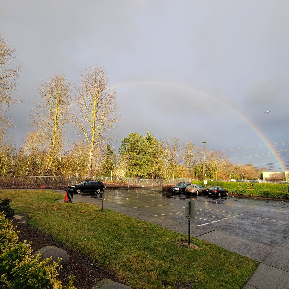 Treena Jensen tweet media