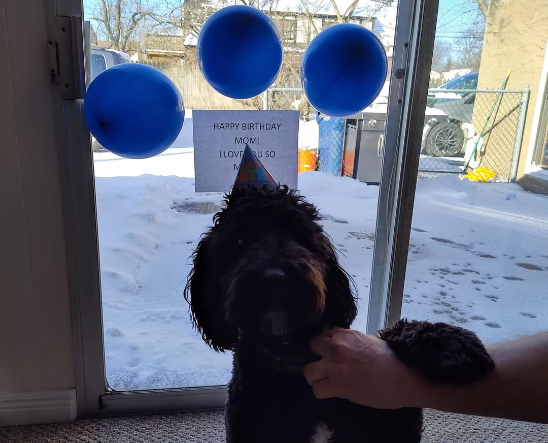 Spent my birthday in Cleveland working on my next project! February birthdays are always a drag because it’s so cold 🥶 Nothing a cookie sundae and a cute pic of Reggie can’t fix!