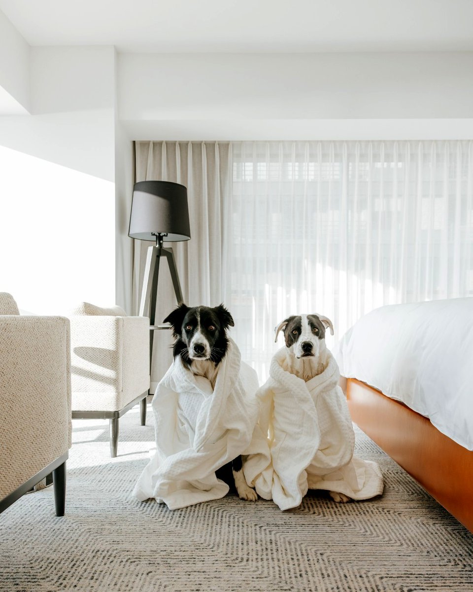 Four Seasons Seattle (@fsseattle) on Twitter photo Share your love of #FSSeattle by participating in the #TLWorldsBest Awards. Voting ends tonight at 11:59 PM ET. Vote Now bit.ly/3QcSlNN By sharing your favorite travel experiences, you’ll be entered for a chance to win a USD 15,000 cash prize or a Viking cruise for two. Share your love of #FSSeattle by participating in the #TLWorldsBest Awards. Voting ends tonight at 11:59 PM ET. Vote Now bit.ly/3QcSlNN By sharing your favorite travel experiences, you’ll be entered for a chance to win a USD 15,000 cash prize or a Viking cruise for two.