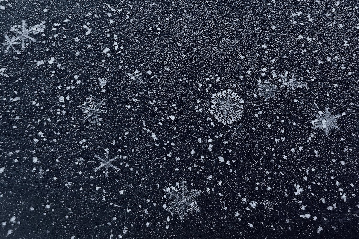 NorthernGinny's tweet photo. I find snowflakes so fascinating. #AlmaguinHighlands #NorthernOntario #SnowflakePhotography https://t.co/zBrXYh9bpL