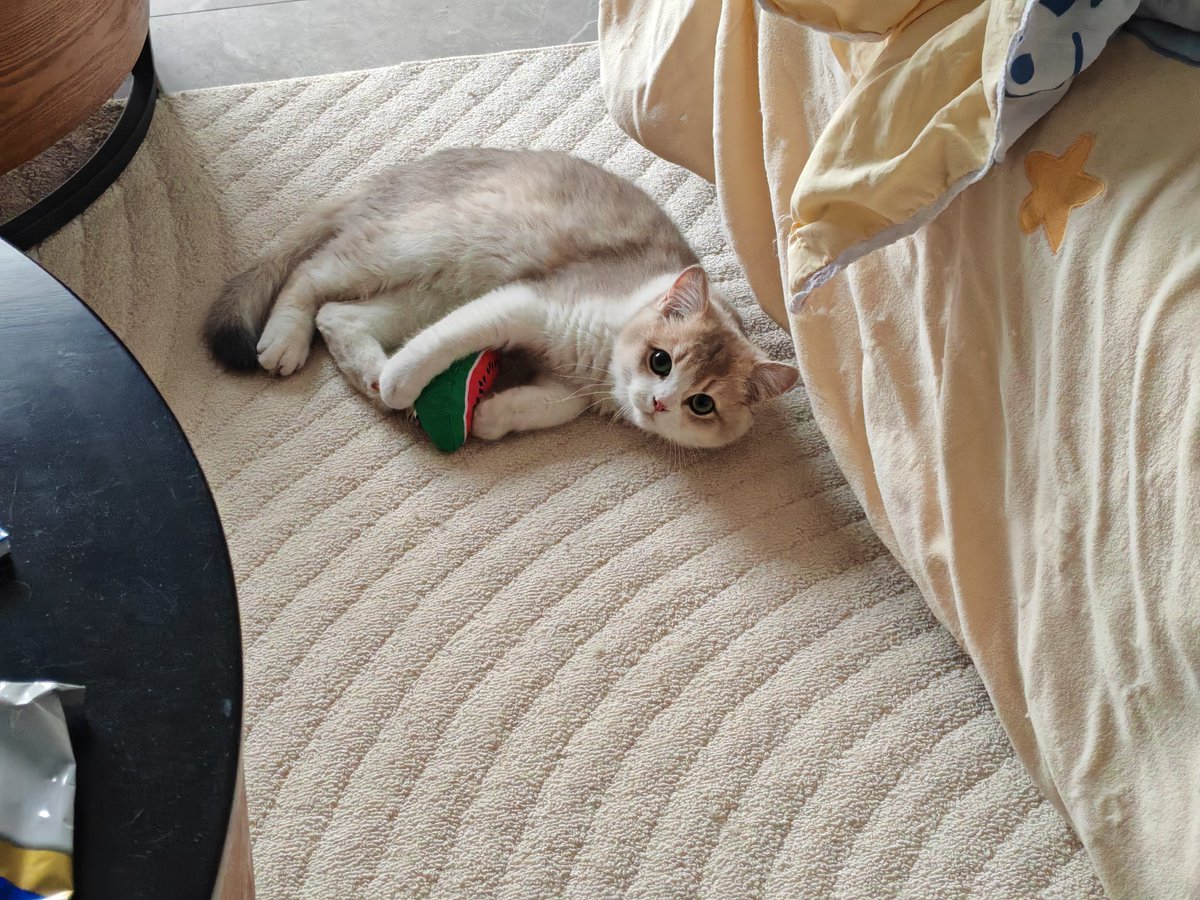 本轮周期于我个人而言幸运的一点是山寨币持仓不足5%，倒霉的是以太持仓超过60%。不过我还是看好今年的行情，不过今年会更受宏观波动的影响，政策市是典型特征，以太etf质押一定能通过，不能倒在黎明前。