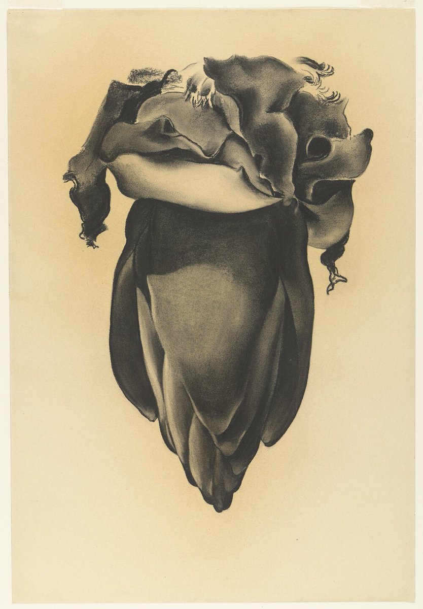 Banana Flower