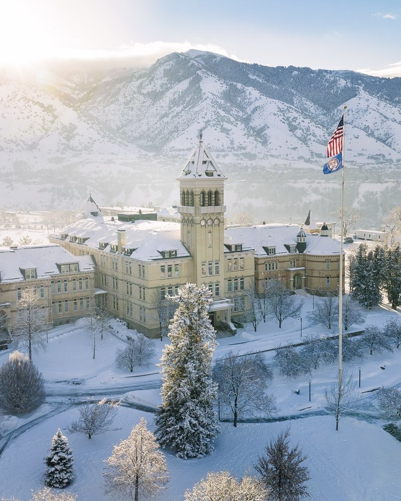 Arpan Bose tweet media