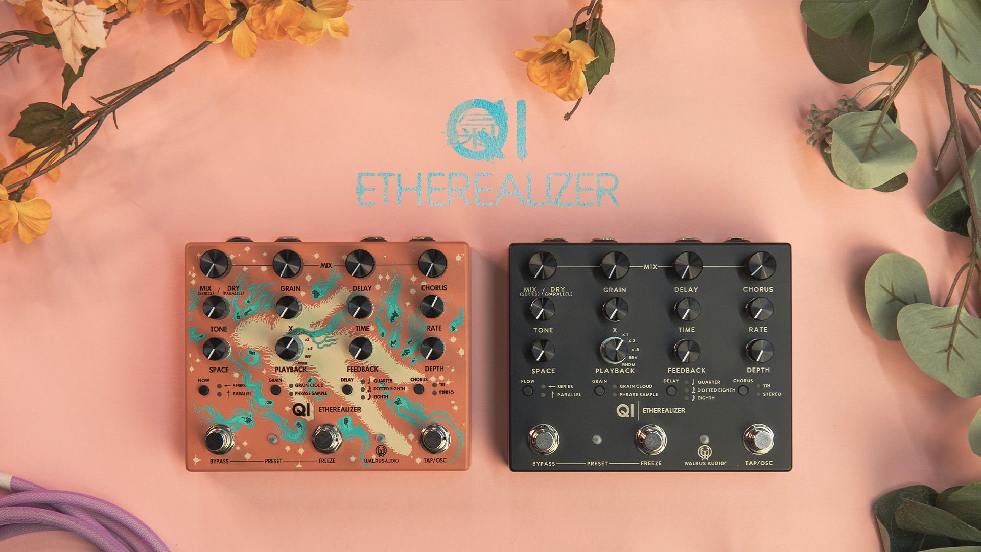 Walrus Audio JP (@WalrusAudio_jp) / X Walrus Audio JP (@WalrusAudio_jp) / X