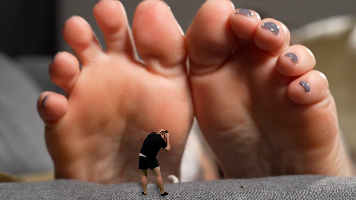 NEMESIS (@nemesis_3030) on Twitter photo So great to catch up and work with <a href="/miaxhope/">š¤Mia Hopeš¤ BOOKED FOR FETISHCON 2025</a> today!! Filmed a bunch of fun GTS and foot fetish content! Beware this Giantess Goddess!
And thanks to <a href="/EnchantressSahr/">The 1 & Only Enchantress Sahrye Booking FetCon 25</a> for š„!
#gintess #sizetwitter So great to catch up and work with <a href="/miaxhope/">š¤Mia Hopeš¤ BOOKED FOR FETISHCON 2025</a> today!! Filmed a bunch of fun GTS and foot fetish content! Beware this Giantess Goddess!
And thanks to <a href="/EnchantressSahr/">The 1 & Only Enchantress Sahrye Booking FetCon 25</a> for š„!
#gintess #sizetwitter