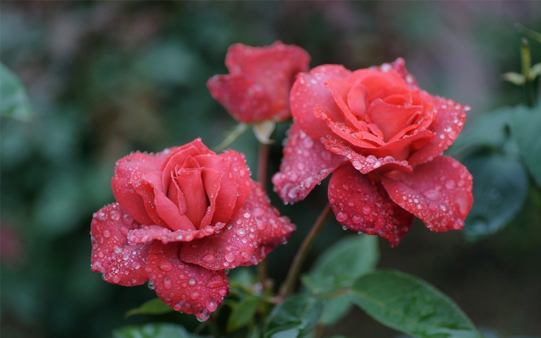 Евгения Сафина (@evgen_safina) on Twitter photo <a href="/Dominik_Svetova/">Доминика Светова</a> <a href="/Mari__Samsonova/">Мария Самсонова 💕</a> <a href="/_Nata_Sokol/">Наталья Соколова </a> <a href="/_Mila_Romanova/">Мила Романова 🔙</a> <a href="/_VitaKnyazeva/">Виталия Князева</a> <a href="/Lara_Smurova/">Лариса Смурова 🚀</a> <a href="/Alisiya_Pankova/">Алисия Панкова 💥«</a> <a href="/Dana__Levina/">💞 Дана Левина 💞</a> <a href="/_NikaSmirnova/">Ника Смирнова 🦋</a> <a href="/_PolinaSavina/">Полина Савина 🧢</a> <a href="/_TatyanaGolub/">Татьяна Голубева 🔥«</a> <a href="/Evelina__Lapina/">Эвелина Лапина</a> <a href="/Mishel_Lebedeva/">Мишель Лебедева</a> <a href="/BogSuvorova/">Богдана Суворова</a> <a href="/Karina__Zimina/">Карина Зимина 🦋</a> <a href="/Yuliya_Verina/">Юлия Верина 🍁</a> <a href="/_Anna_Gordeeva/">Анна Гордеева</a> <a href="/Frolova__Nastya/">Анастасия Фролова ✨</a> <a href="/Val_Valereva/">Валентина Валерьева</a> <a href="/Alina__Azarova/">Алина Азарова 🔥</a> <a href="/Liza_Vesnina/">Лизавета Веснина</a> <a href="/Sveta_Makeina/">Светлана Макеина</a> <a href="/Kseniya_Aksen/">Ксения Аксенова</a> <a href="/_OksanaFirsova/">Оксана Фирсова</a> <a href="/Roza_Rakitina/">Роза Ракитина</a> <a href="/IrishaKoroleva/">Ирина Королева</a> <a href="/_VladaBelova/">Влада Белова</a> <a href="/ya__chara/">Яна</a> <a href="/alberiniks/">Нина Альбертова</a> <a href="/lady__travel/">Нинэлька</a> <a href="/Ansupers/">Анастасия</a> <a href="/Alisa550055/">Алиса</a> <a href="/glamour__fifa/">Нэнси</a> <a href="/santairis_/">Ириска</a> <a href="/polovinkamoya/">Валентина</a> <a href="/niguzan/">Нина</a> <a href="/moyi_angel/">Ангелина</a> <a href="/ledi__briz/">Алина Голубкова</a> <a href="/Irina__Grad/">Ирина Градова</a> <a href="/shelkalina/">Galina Shelest</a> <a href="/leopoldolarag/">Leopoldo Lara</a> <a href="/P_barbaricina/">Patricia ♦️®🇮🇹</a> <a href="/VictoriAGVelan1/">Victoria Guerrero Velandia</a> <a href="/alpost19718/">Istina</a> <a href="/Anatolii70/">.Анатолий70</a> <a href="/Igor55549244/">Igor</a> <a href="/Vladimi94915948/">Vladimir</a> <a href="/math_007tutor/">Цифровой репетитор по математике физике английский</a> <a href="/olv42/">Анна Ильиных</a> <a href="/iO0WDvcSpnyOba5/">Люба</a> <a href="/Dominik_Svetova/">Доминика Светова</a> <a href="/Mari__Samsonova/">Мария Самсонова 💕</a> <a href="/_Nata_Sokol/">Наталья Соколова </a> <a href="/_Mila_Romanova/">Мила Романова 🔙</a> <a href="/_VitaKnyazeva/">Виталия Князева</a> <a href="/Lara_Smurova/">Лариса Смурова 🚀</a> <a href="/Alisiya_Pankova/">Алисия Панкова 💥«</a> <a href="/Dana__Levina/">💞 Дана Левина 💞</a> <a href="/_NikaSmirnova/">Ника Смирнова 🦋</a> <a href="/_PolinaSavina/">Полина Савина 🧢</a> <a href="/_TatyanaGolub/">Татьяна Голубева 🔥«</a> <a href="/Evelina__Lapina/">Эвелина Лапина</a> <a href="/Mishel_Lebedeva/">Мишель Лебедева</a> <a href="/BogSuvorova/">Богдана Суворова</a> <a href="/Karina__Zimina/">Карина Зимина 🦋</a> <a href="/Yuliya_Verina/">Юлия Верина 🍁</a> <a href="/_Anna_Gordeeva/">Анна Гордеева</a> <a href="/Frolova__Nastya/">Анастасия Фролова ✨</a> <a href="/Val_Valereva/">Валентина Валерьева</a> <a href="/Alina__Azarova/">Алина Азарова 🔥</a> <a href="/Liza_Vesnina/">Лизавета Веснина</a> <a href="/Sveta_Makeina/">Светлана Макеина</a> <a href="/Kseniya_Aksen/">Ксения Аксенова</a> <a href="/_OksanaFirsova/">Оксана Фирсова</a> <a href="/Roza_Rakitina/">Роза Ракитина</a> <a href="/IrishaKoroleva/">Ирина Королева</a> <a href="/_VladaBelova/">Влада Белова</a> <a href="/ya__chara/">Яна</a> <a href="/alberiniks/">Нина Альбертова</a> <a href="/lady__travel/">Нинэлька</a> <a href="/Ansupers/">Анастасия</a> <a href="/Alisa550055/">Алиса</a> <a href="/glamour__fifa/">Нэнси</a> <a href="/santairis_/">Ириска</a> <a href="/polovinkamoya/">Валентина</a> <a href="/niguzan/">Нина</a> <a href="/moyi_angel/">Ангелина</a> <a href="/ledi__briz/">Алина Голубкова</a> <a href="/Irina__Grad/">Ирина Градова</a> <a href="/shelkalina/">Galina Shelest</a> <a href="/leopoldolarag/">Leopoldo Lara</a> <a href="/P_barbaricina/">Patricia ♦️®🇮🇹</a> <a href="/VictoriAGVelan1/">Victoria Guerrero Velandia</a> <a href="/alpost19718/">Istina</a> <a href="/Anatolii70/">.Анатолий70</a> <a href="/Igor55549244/">Igor</a> <a href="/Vladimi94915948/">Vladimir</a> <a href="/math_007tutor/">Цифровой репетитор по математике физике английский</a> <a href="/olv42/">Анна Ильиных</a> <a href="/iO0WDvcSpnyOba5/">Люба</a>