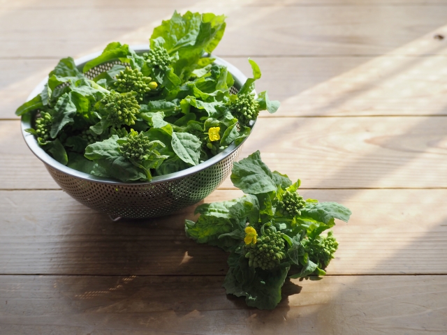 #日々和漢 春は薬膳で食養生

春に向けて、カラダはデトックスの時期。
冬の間溜め込んでいた毒素を
排出できるような食材がおすすめです。
菜の花は、解毒作用 があり、
血のめぐりもよくしてくれます。
#和漢SINCA #薬膳 #美容 #健康 #内面美容 #菜の花