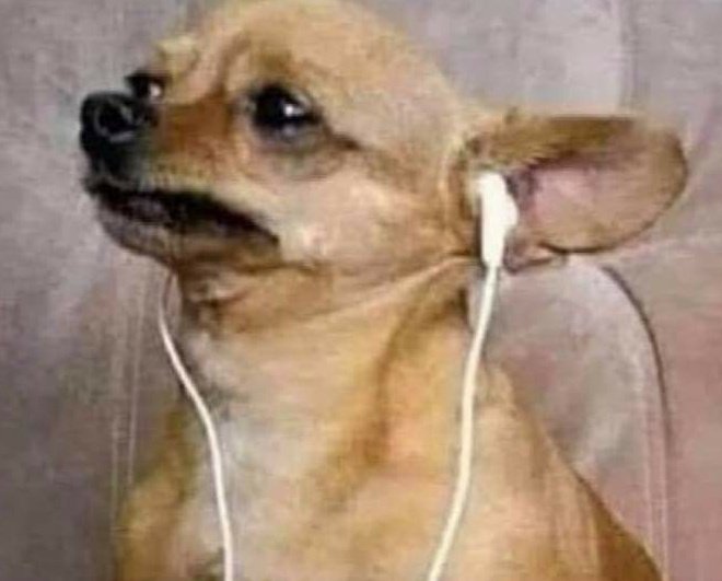 valentinyta's tweet photo. ASÍ YO VIVO MI VIDA, HERIDA!
ASI YO VIVO SOÑANDOOOO

#Viña2025
#FestivalXMega
#festivaldeviña2025 https://t.co/J8vEsm2C08
