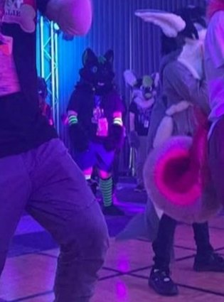 DarkLuck18's tweet photo. I- I don't dance 👉👈
~
#furrynsfw #furrylewd #MFC25 #fursuiter #furrysub #furryaustralia https://t.co/JUmxWR3Bcs