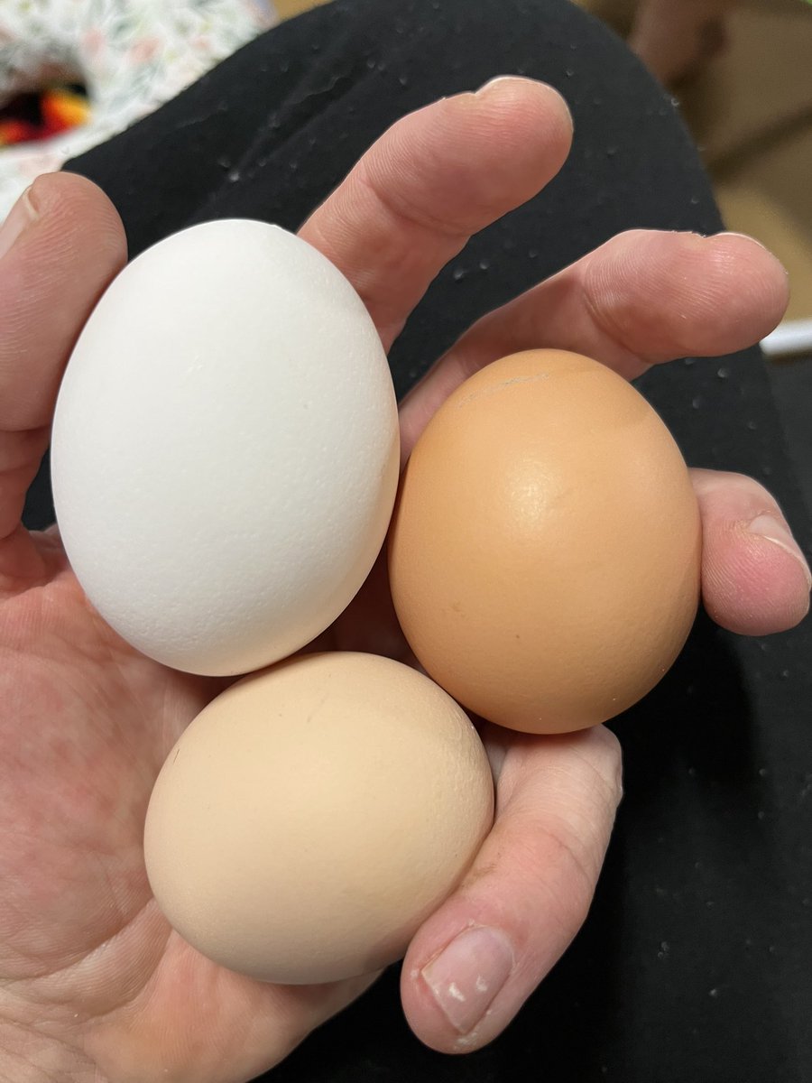 Countyroad69's tweet image. #datpiff