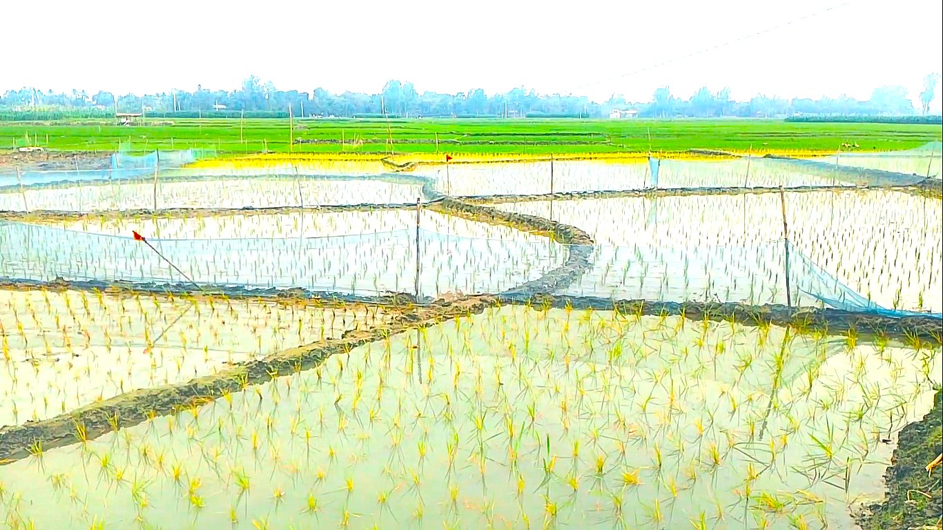 আত্রাইয়ে খতিয়ান ভূক্ত জমি অবৈধভাবে ভোগ দখলের অভিযোগ