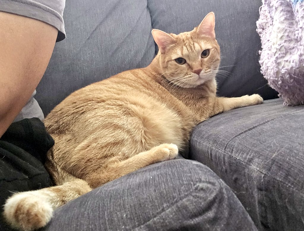 Halp! It's the Mama stalkarazzi!