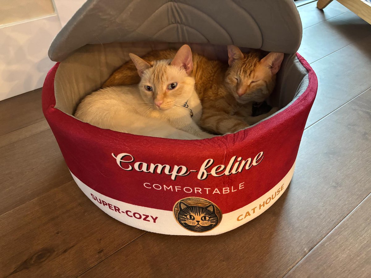 Riot Mort tweet media